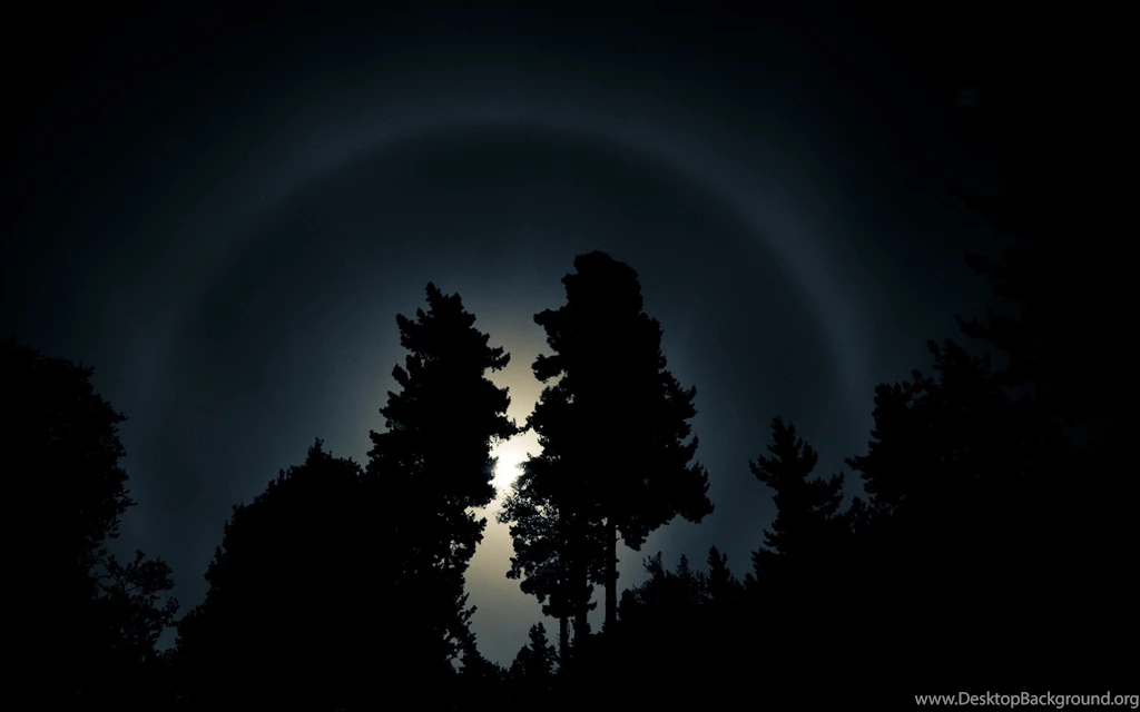 Alan Wake Wallpapers And Images Wallpapers, Pictures, Photos
