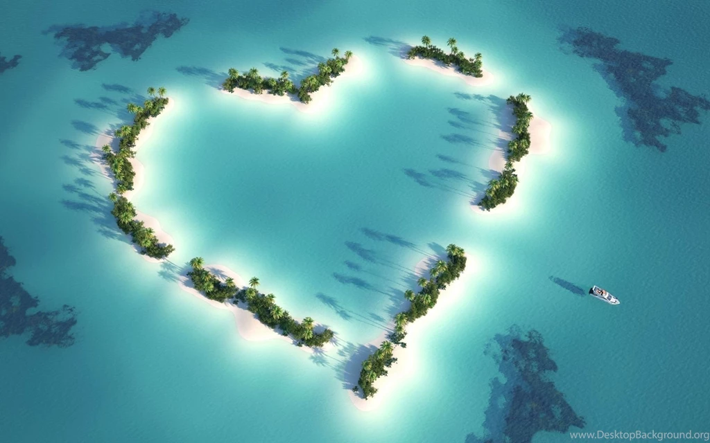 Dolphin Wallpapers Pict