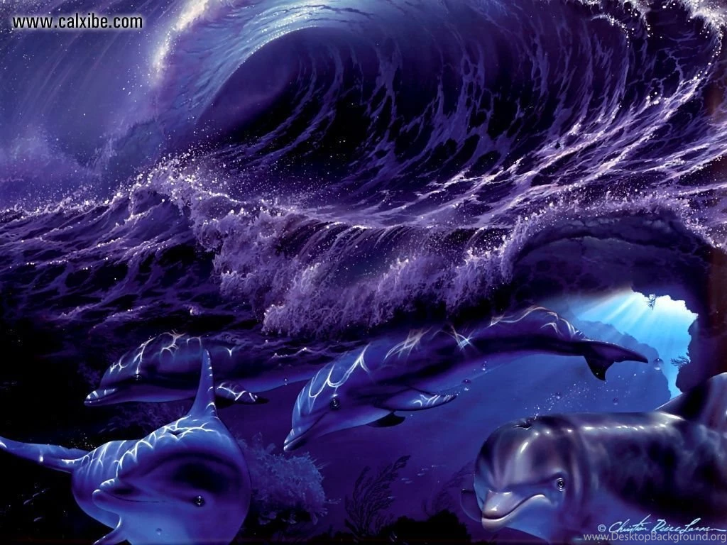 Gallery For Fantasy Dolphin Wallpapers