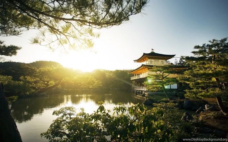 Kyoto Sunlight Building Asian Pond Trees Free Desktop Backgrounds ...