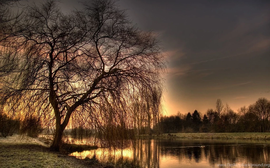 Best Backgrounds 63 Best Backgrounds