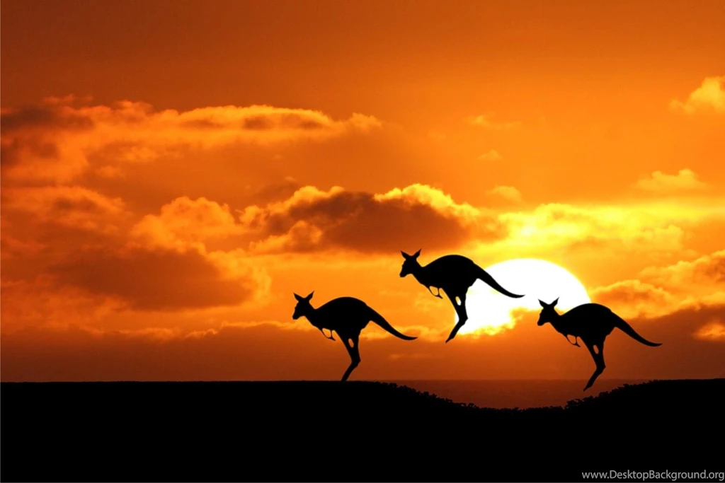 Australia City HD Desktop Wallpapers High Definition Wallpapers Mela