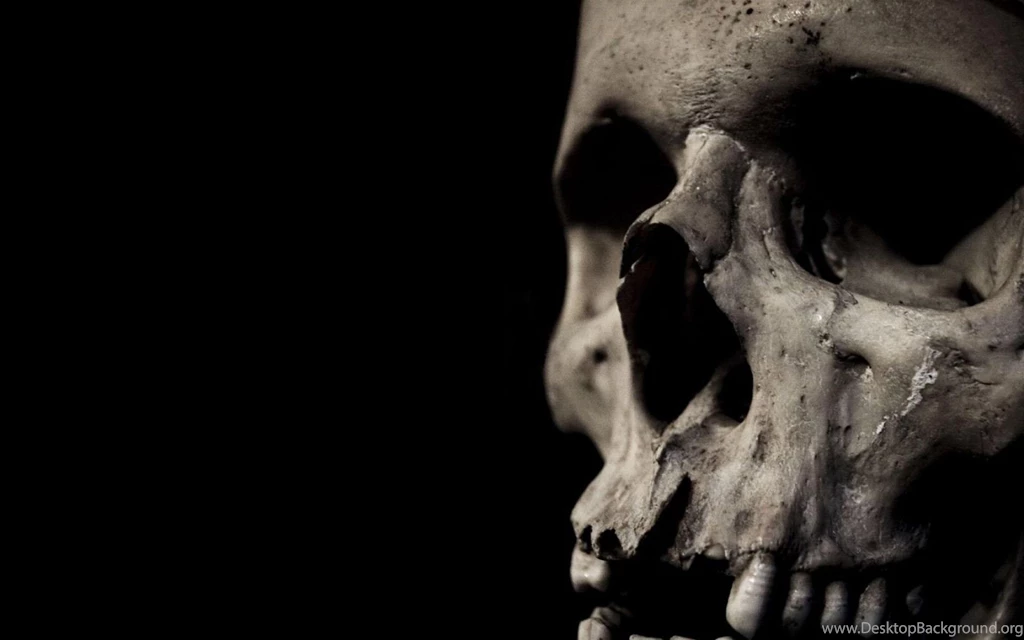 Dark Skull Evil Horror Skulls Art Artwork Skeleton D Wallpapers ...