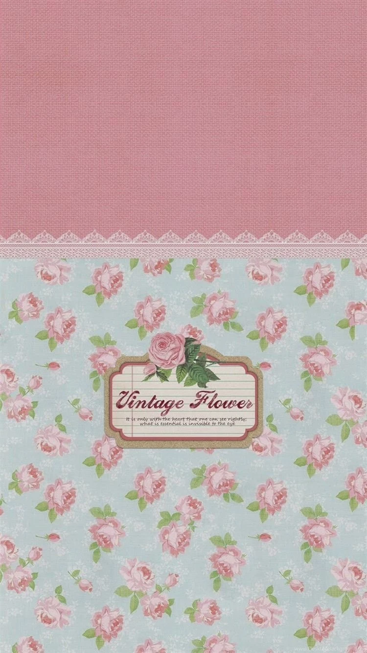 Vintage Flowers Pattern Sign iPhone 6 Wallpapers Download