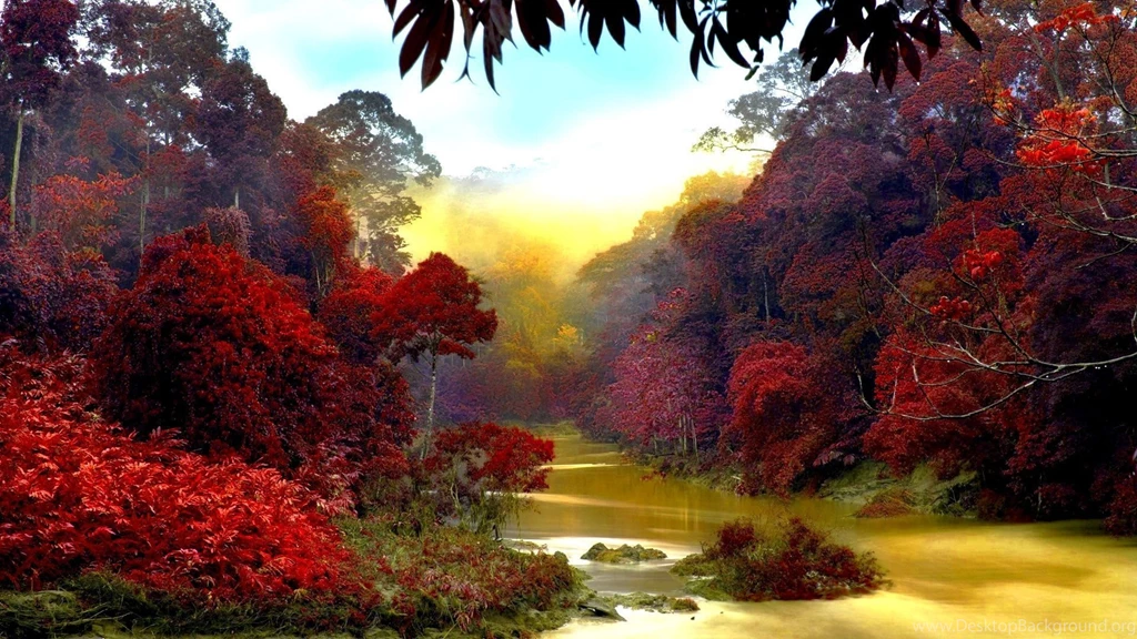 Jungle River Desktop Wallpaper, Jungle River Images Free, New ...