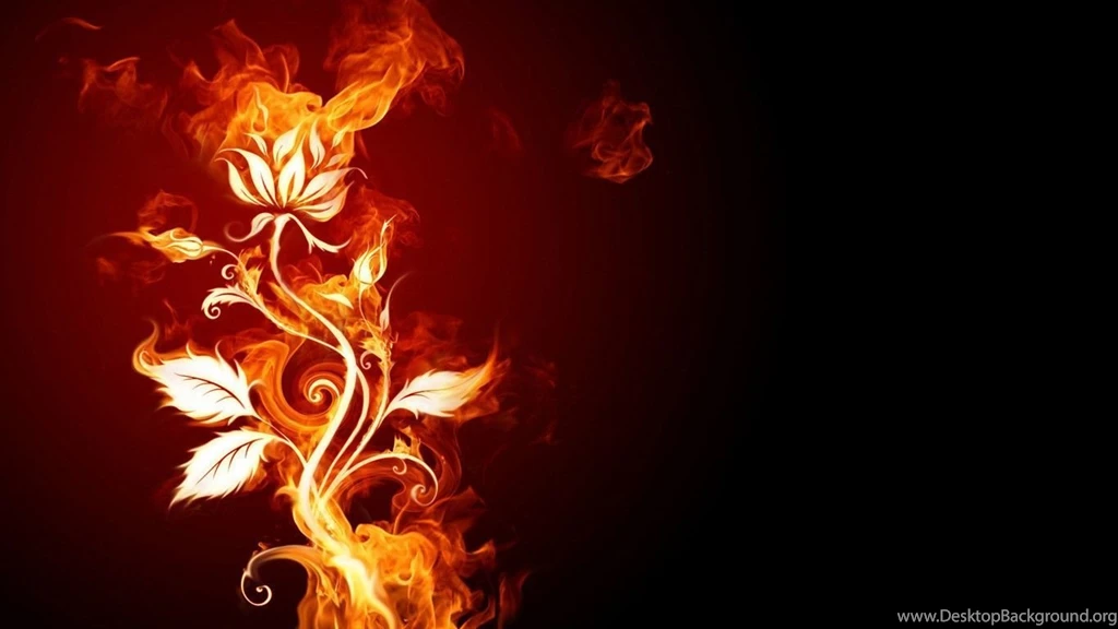 Wallpapers 3D4
