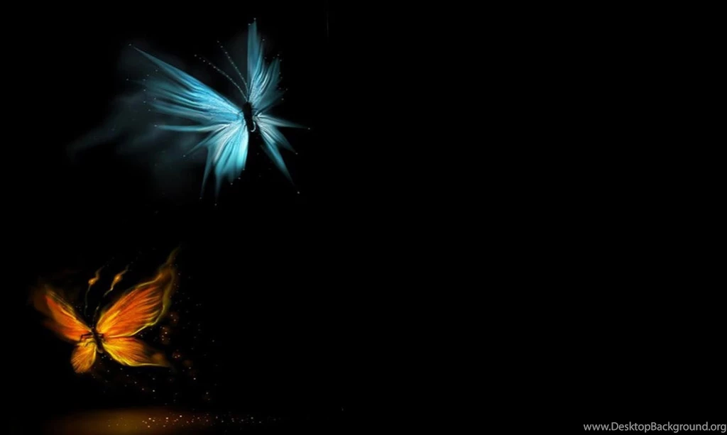 Hd Animal Wallpapers, Wild Life, Animal Desktop Images, Download ...