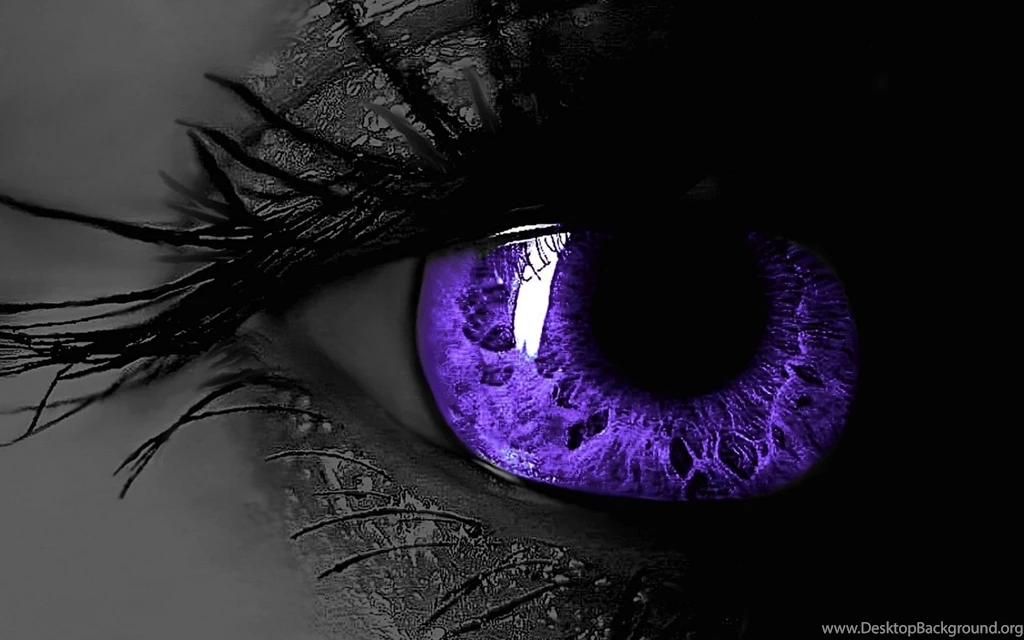 Black And Purple Wallpapers 2369 HD Wallpapers Site