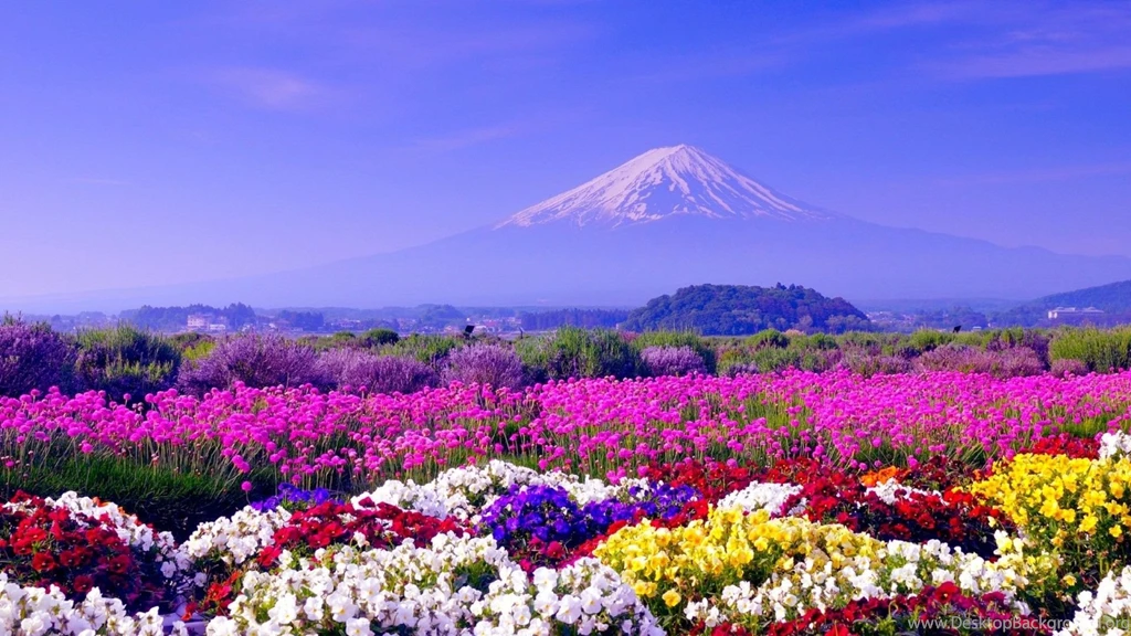 Spring In Japan Wallpapers