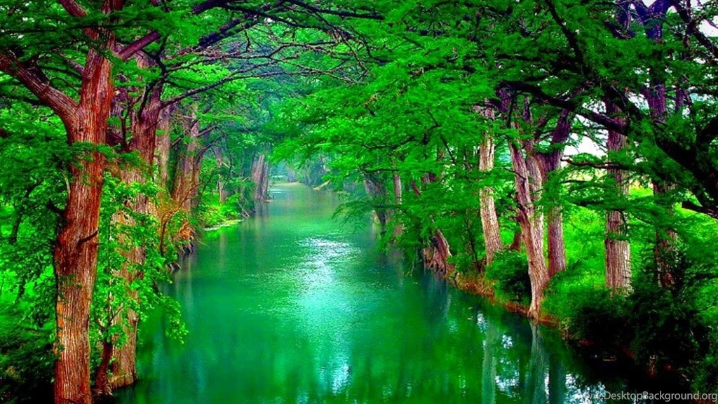 Wallpaper: One Touch Of Nature Makes The Whole World Kin