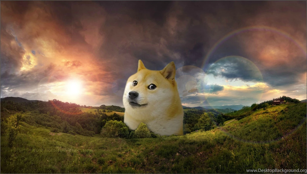 A Friend Of Mine Asked Me To Make Him A Doge wallpaper. Little ...
