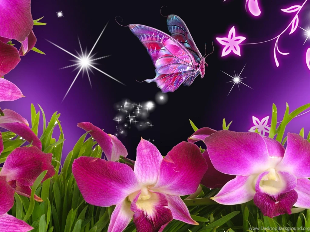 Butterfly Wallpapers HD