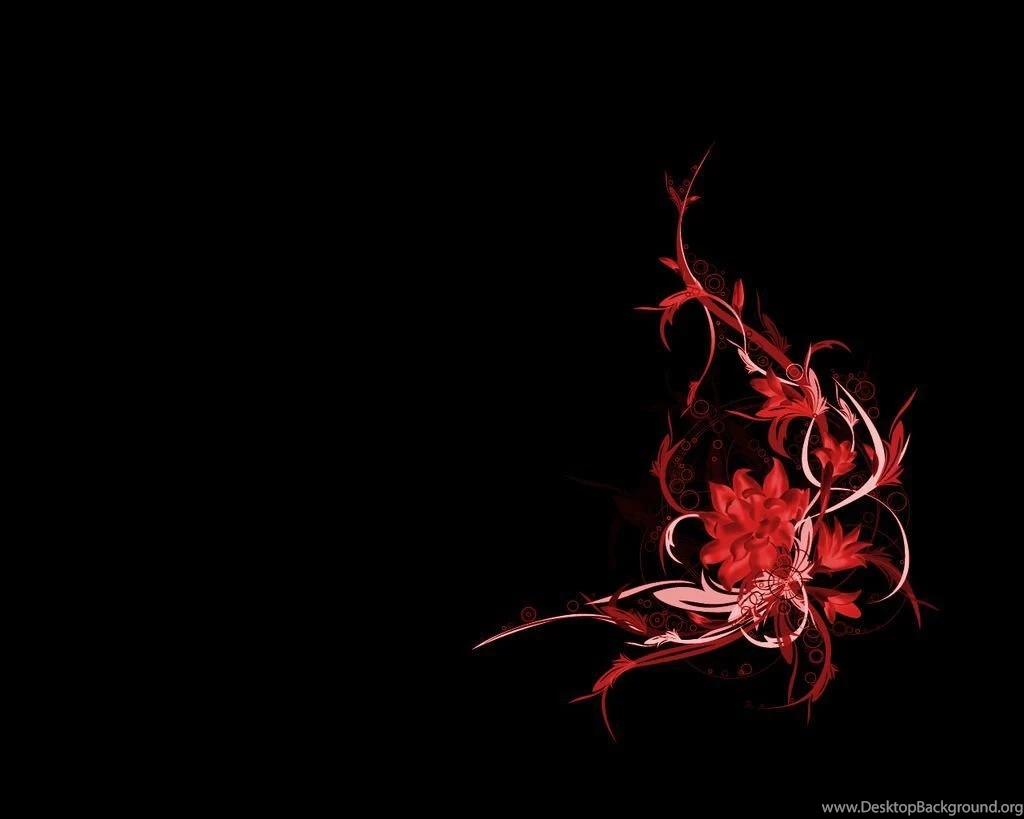 Black Backgrounds Free Hd Download : Flowers With Black Backgrounds ...