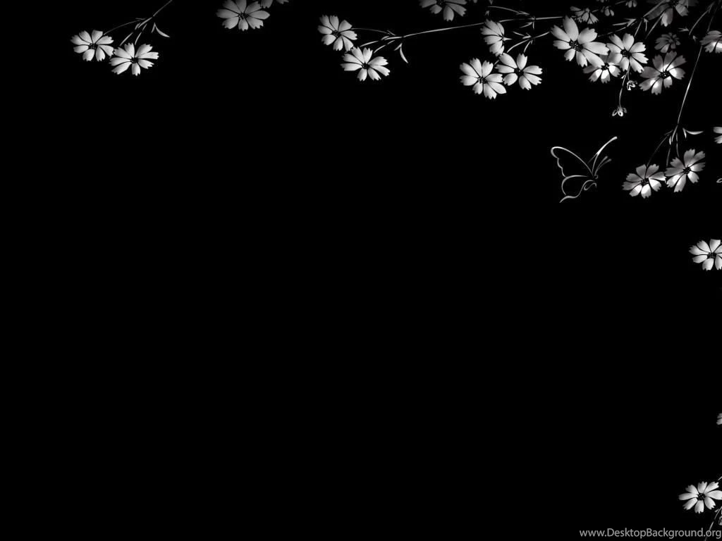 Flower Backgrounds Wallpapers For PowerPoint