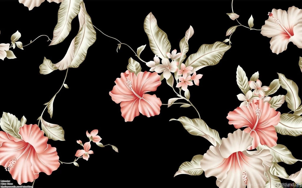 Pink Flowers On A Black Backgrounds Wallpapers