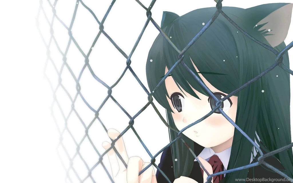 Fences Animal Ears Anime Anime Girls White Backgrounds Fresh New Hd ...
