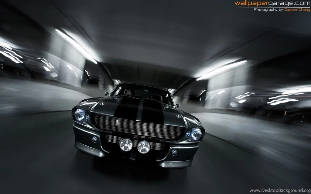 Shelby Mustang GT500 Cars Wallpapers (2798322) Fanpop