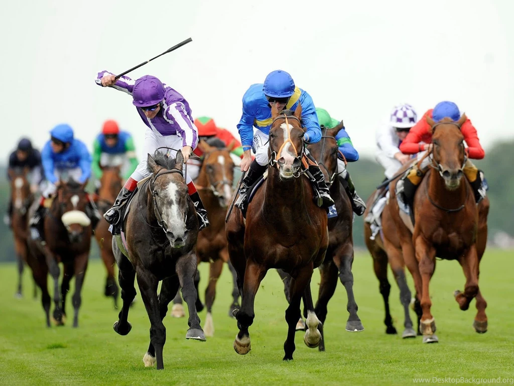 Horse Racing Desktop Wallpaper, Horse Racing Images, New Wallpapers