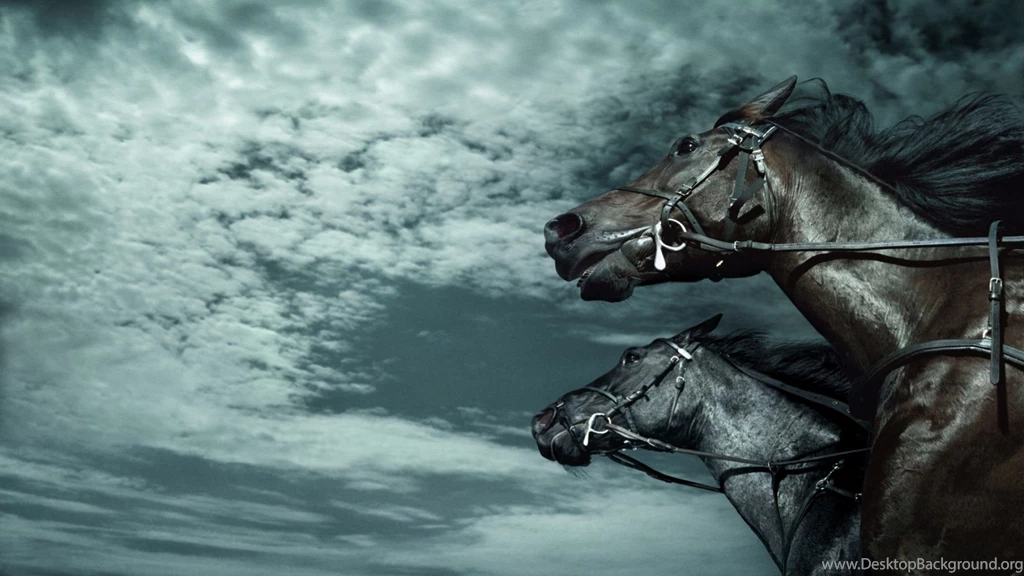 Horse HD Animal Wallpapers