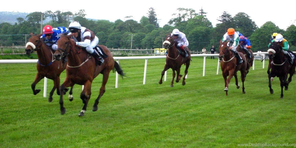 HD Animals Wallpapers: Horse Racing Wallpapers