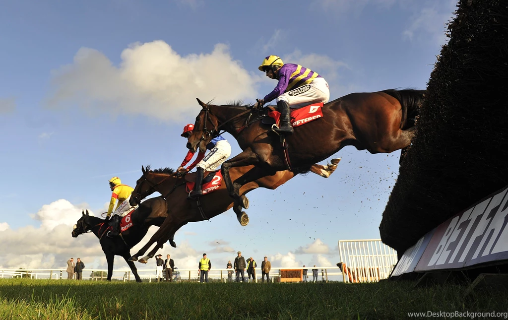 HORSE RACING Race Equestrian Sport Jockey Horses Wallpapers ...