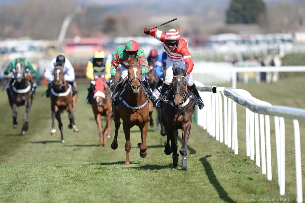 HORSE RACING Race Equestrian Sport Jockey Horses Wallpapers ...