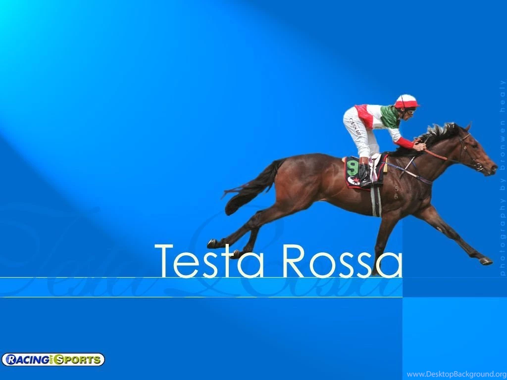 Racing And Sports Leaders In Horse Racing News, Statistics And ...