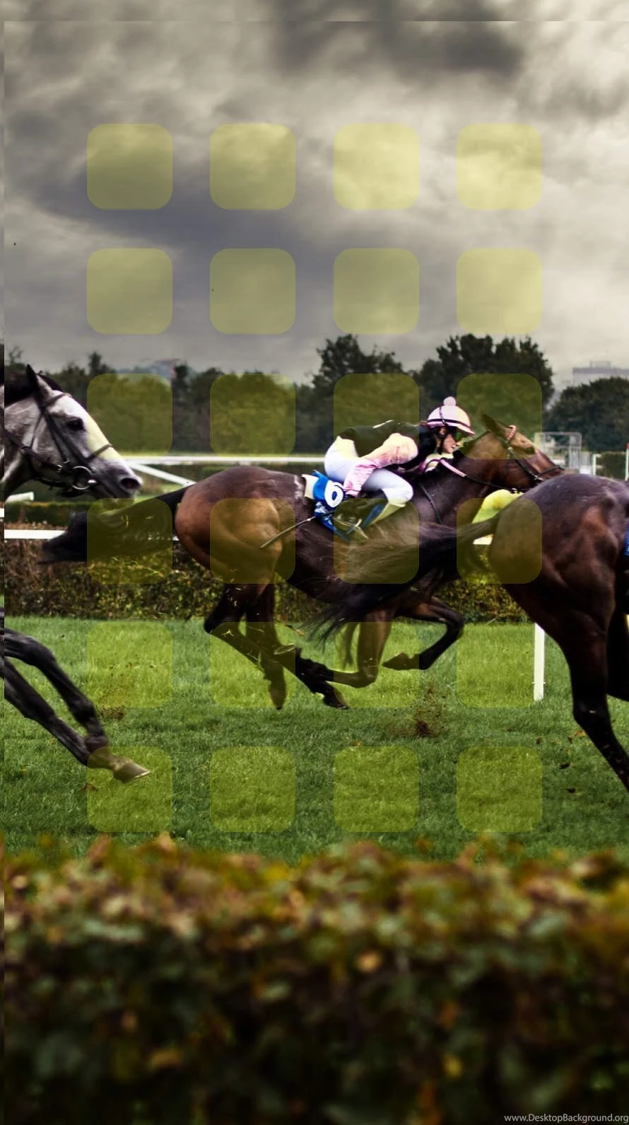 Landscape Horse Racing Ki Shelf