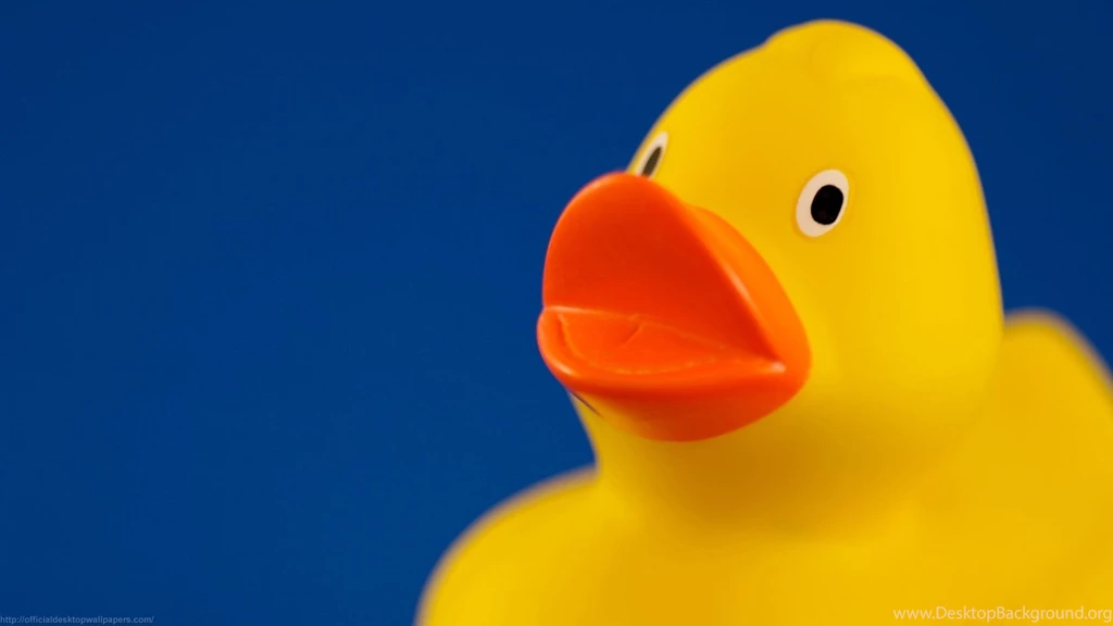 Rubber Ducks HD Wallpapers
