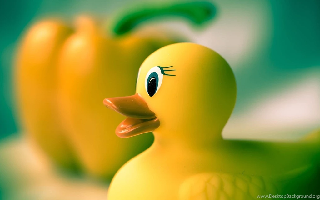 Rubber Duck Toy Wallpaper.jpg