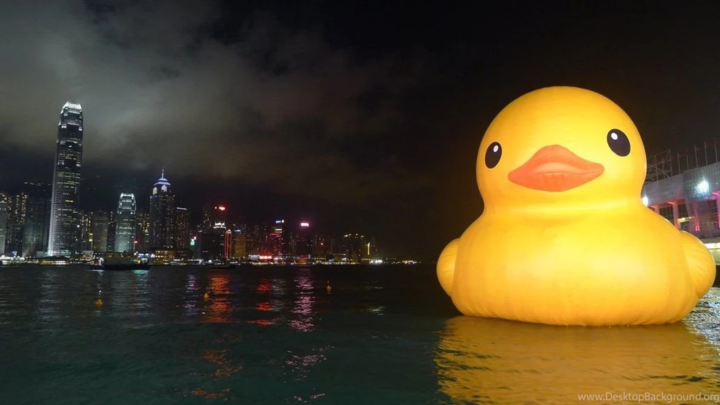 Gallery For Art Duck Wallpapers