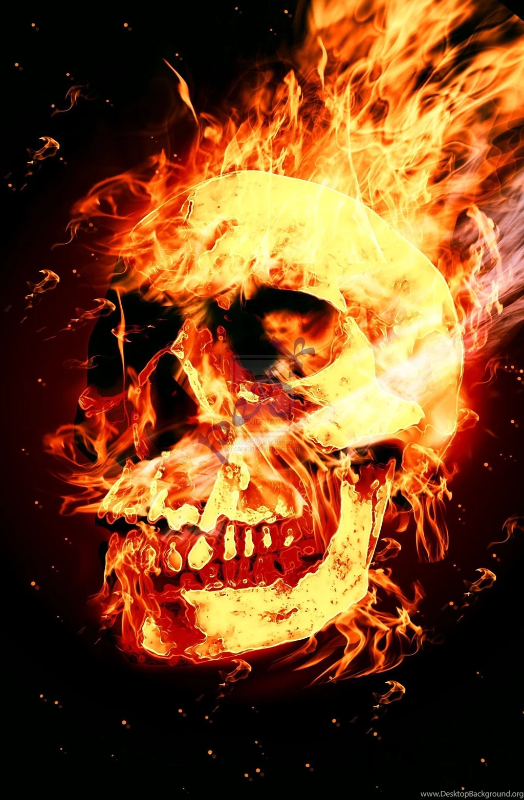 Gallery For Skull Fire Wallpapers