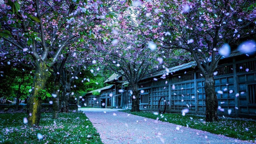 HD Wallpapers