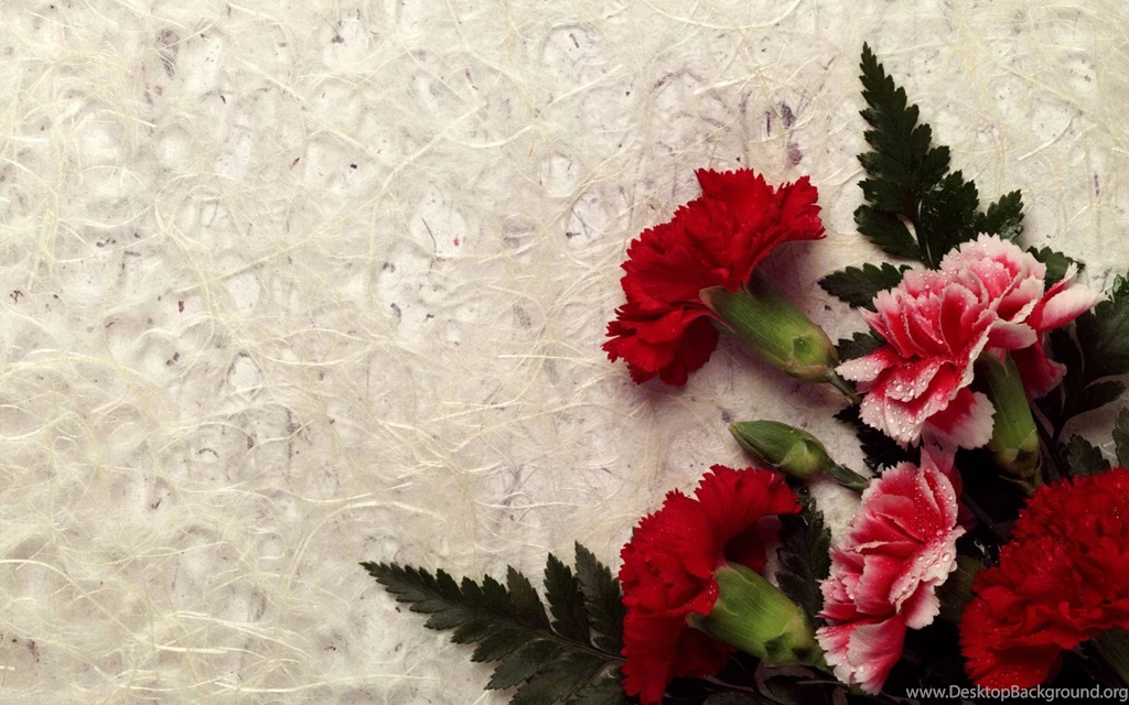 Best Beautiful Flowers Hd Wallpapers Free Android Application ...