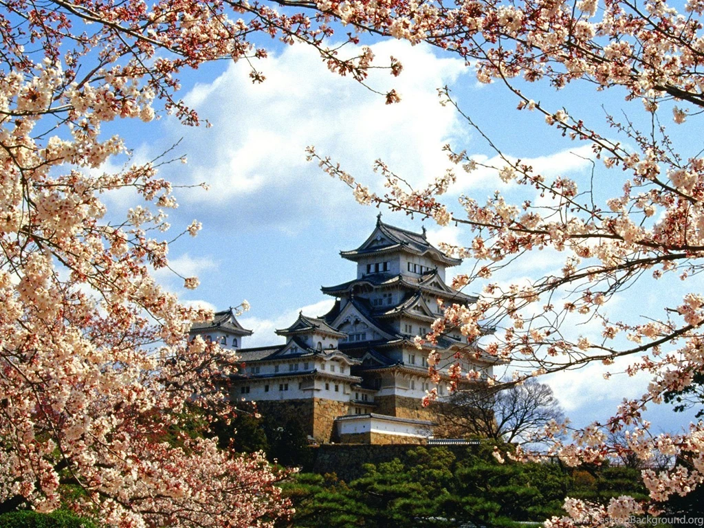 Wallpapers Castle, Sakura, Cherry, Himeji, Japan, Himeji Jo Castle ...