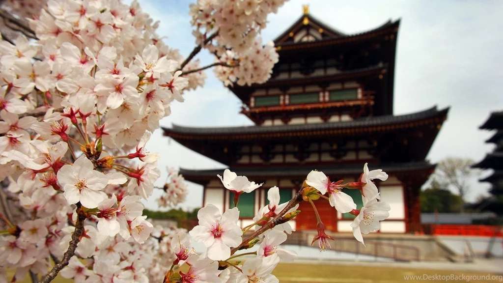 Religious Japanese Temple Flowers Building Japan Landscapes ...