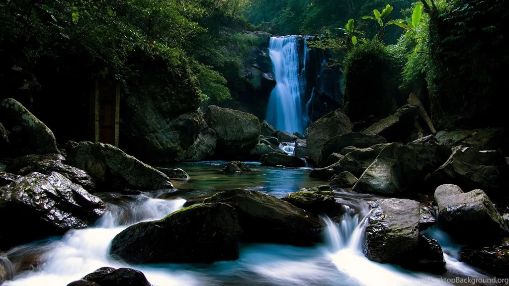 Tapety Hd Wallpapers 44765