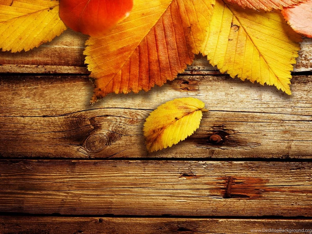 Autumn Backgrounds (