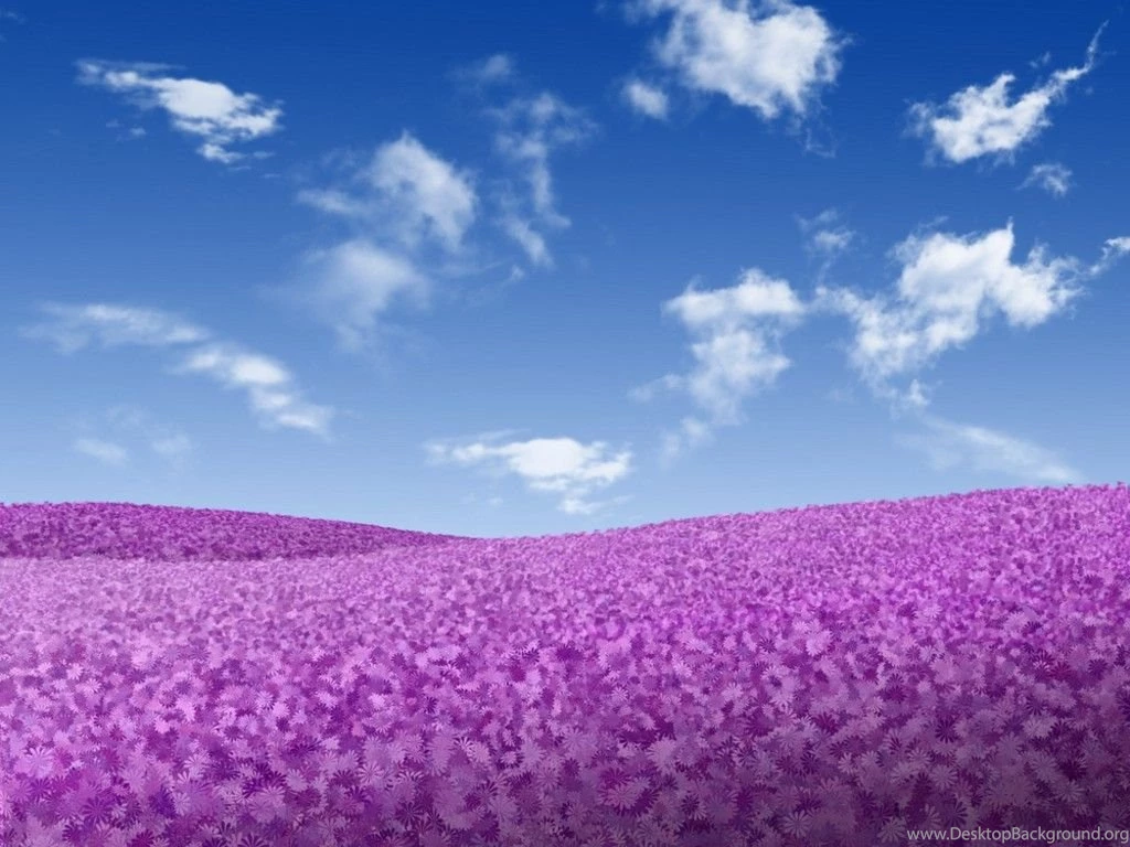 Wallpapers Sky And Clouds Of Violet Flowers Over Blue With White ...