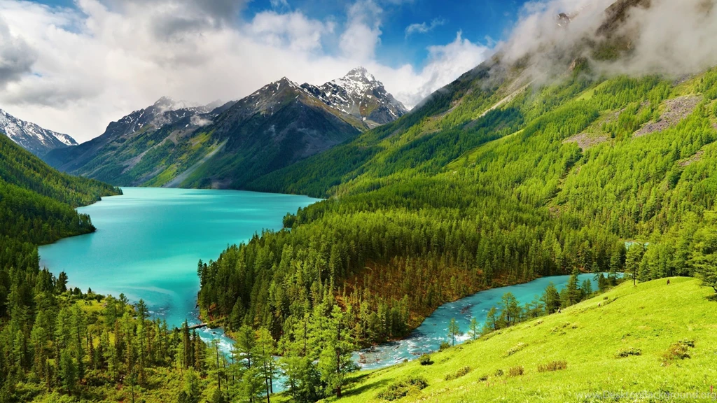 Gallery For Nature Wallpapers Desktop High Resolution