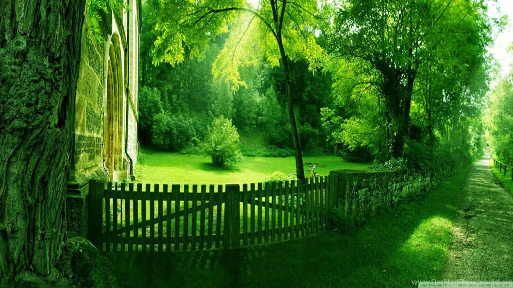 Nature Wallpapers High Resolution 1980332