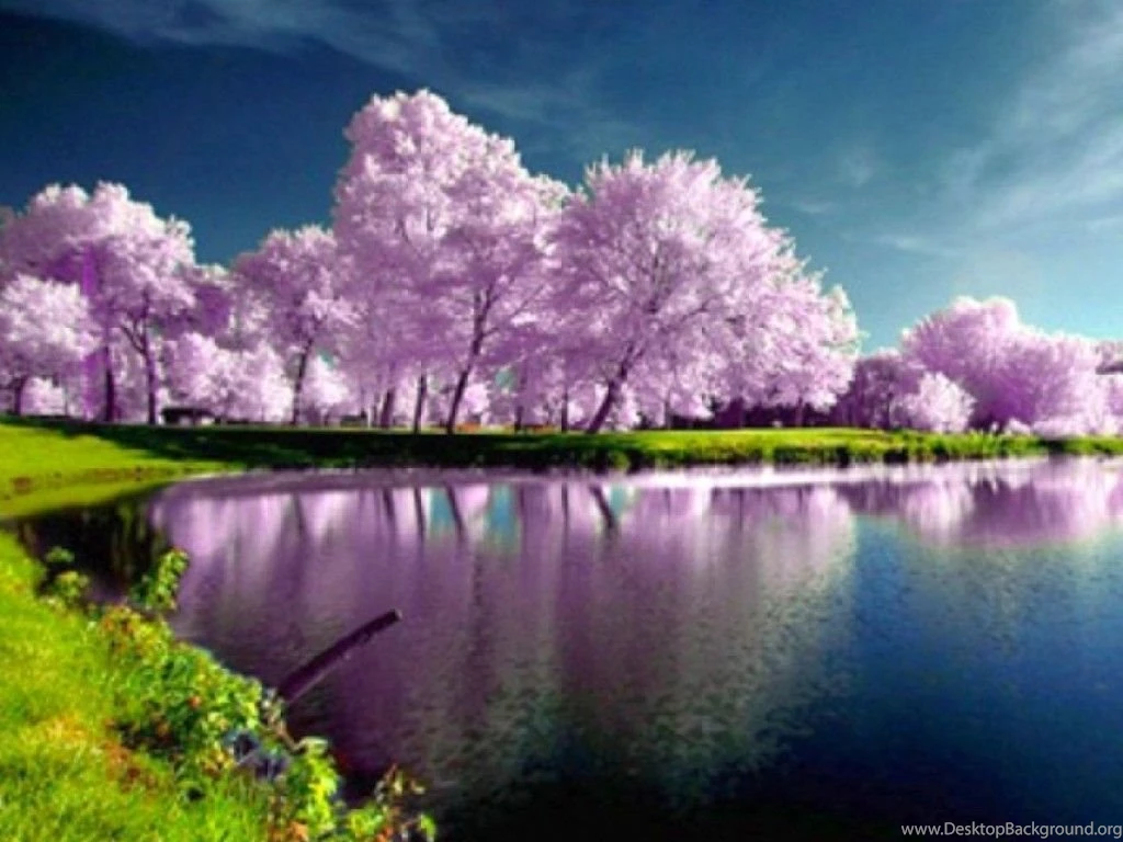 Spring Nature Wallpapers High Resolution Wallpaper.