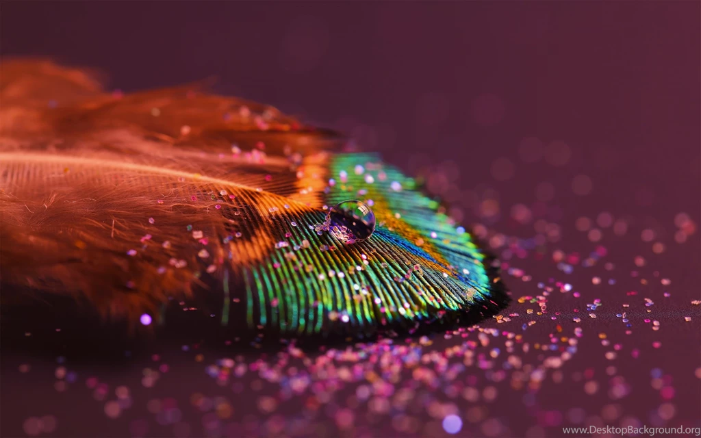 Gallery For Latest Desktop Wallpapers High Resolution
