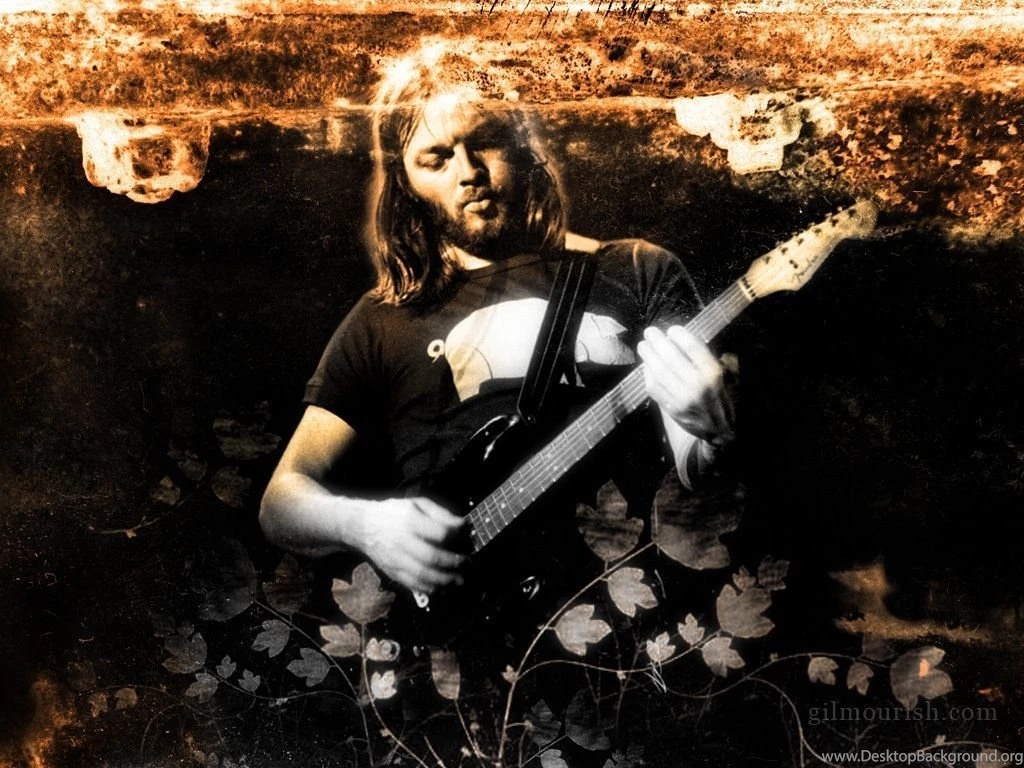 Wall David Gilmour Wallpapers (25882578) Fanpop