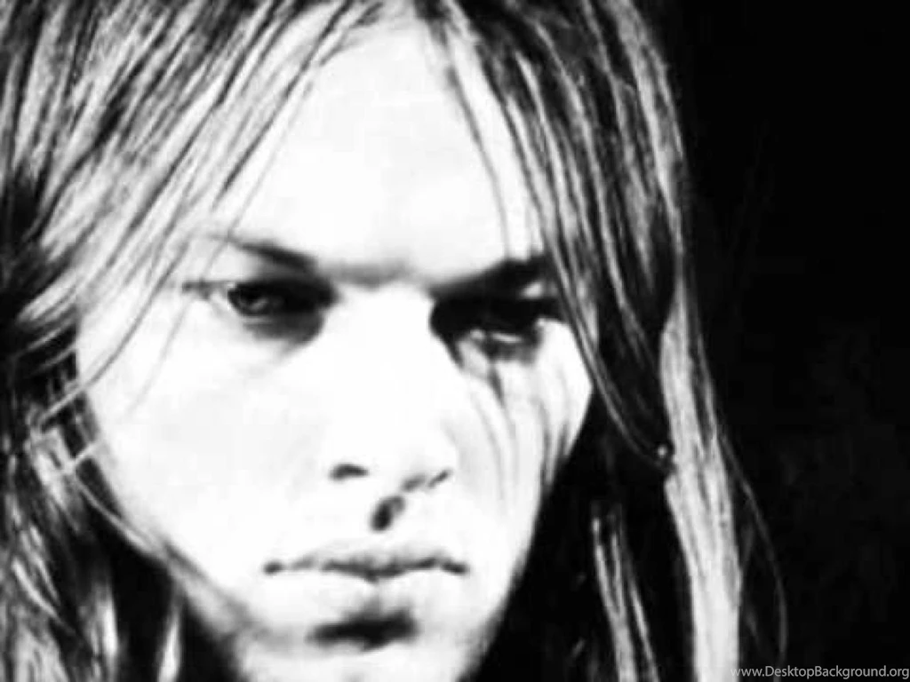 David Gilmour Playing Guitar Viewing Gallery