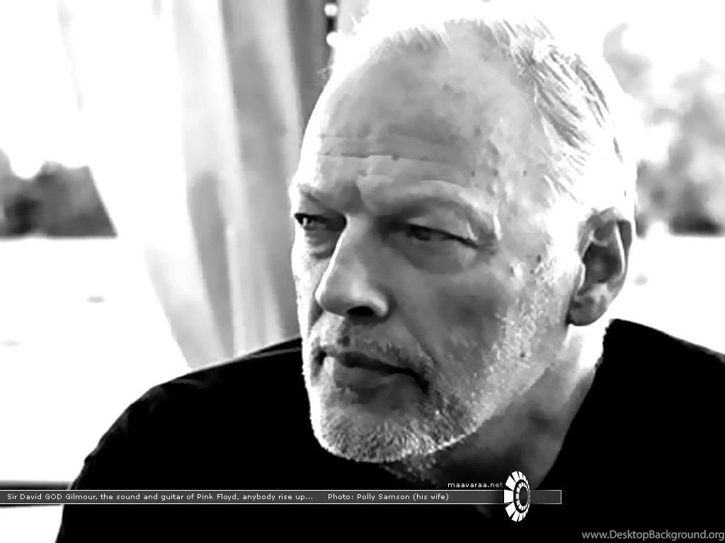 Mr. David Emperor Gilmour By Manianet On DeviantArt
