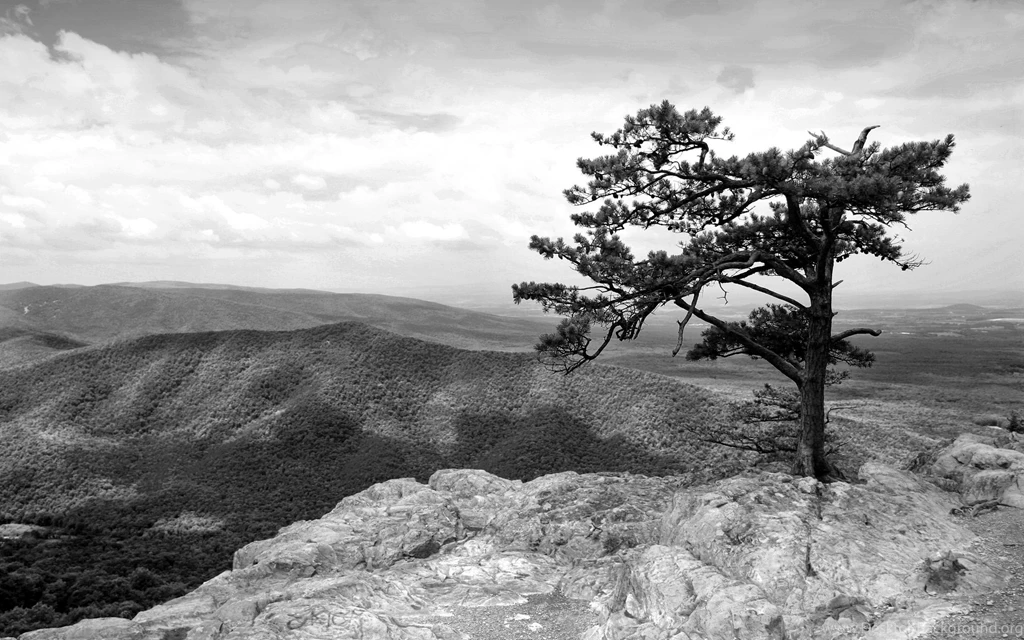 Black And White HD Wallpapers Pretty L43