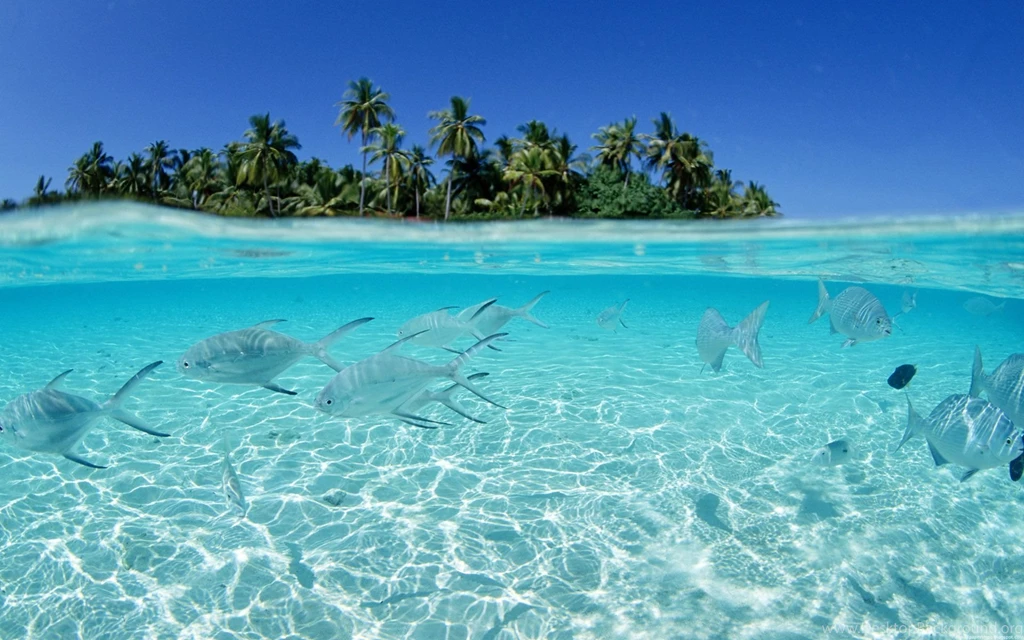 Tropical Desktop Backgrounds Widescreen HD Wallpapers