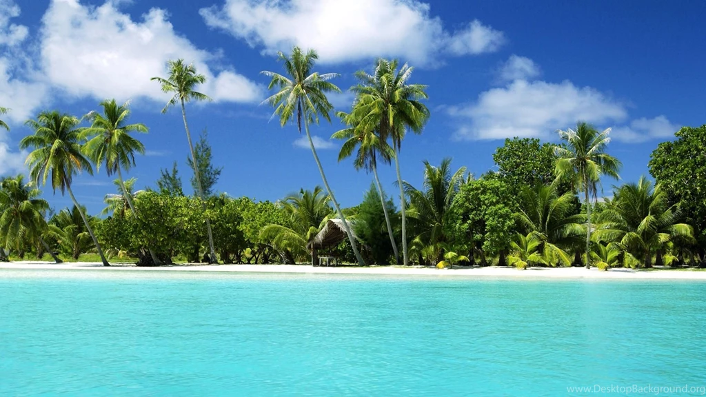 Tropical Beach Wallpapers 168991