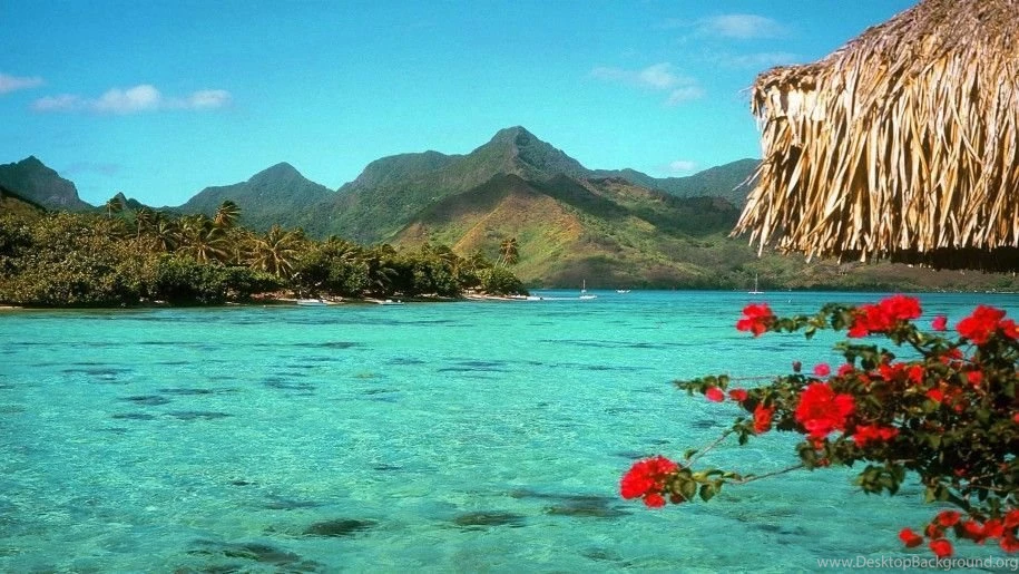 Desktop Backgrounds Tropical Beach Backgrounds Tropical Beach Screen ...
